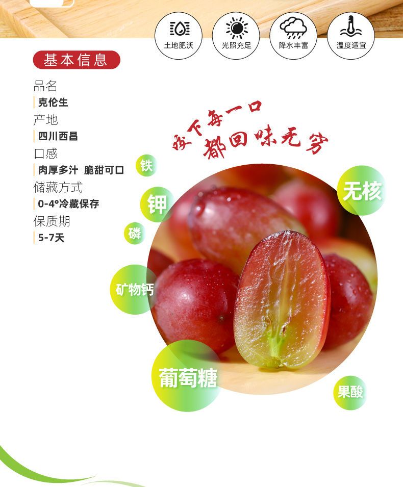 克伦生葡萄苗 克伦生无籽红葡萄苗自家育苗品种纯度高南北方均可种【极力推荐】