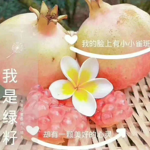蒙自市甜绿籽石榴  蒙自甜石榴