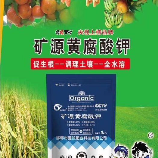 邯郸 矿源黄腐酸钾，