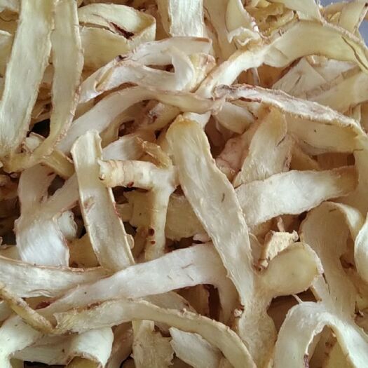 常宁市湘玉竹  无硫玉竹片，选片，统片，玉竹条！