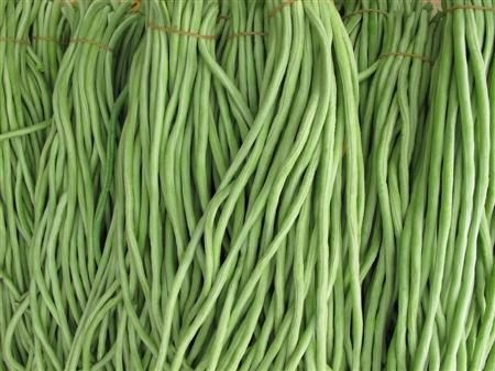 沭阳县豆角新鲜长豆角现摘批发豇豆新鲜长豇豆带豆批发代收