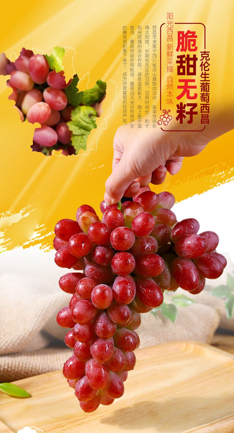 克伦生葡萄苗 克伦生无籽红葡萄苗自家育苗品种纯度高南北方均可种【极力推荐】