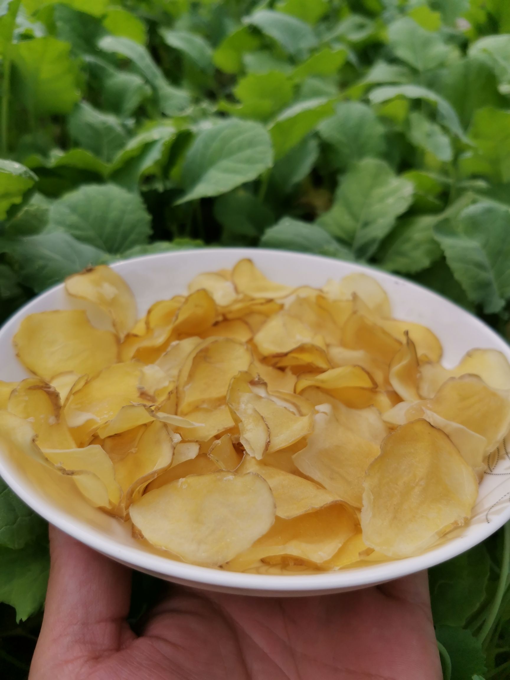 干土豆 农家自制土豆片，洋芋片基地直发一件起发