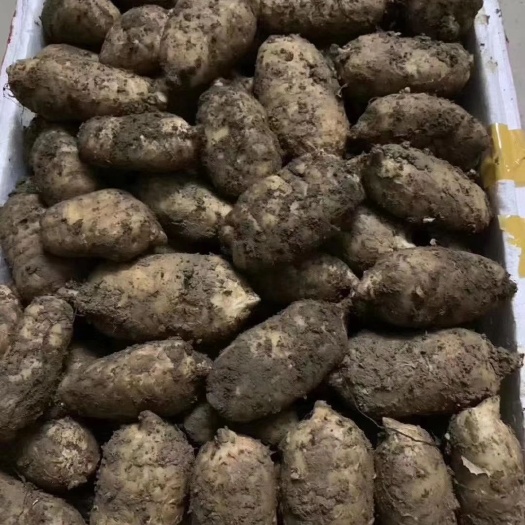 兴山县 好山，好水，好地方，出好品质天麻