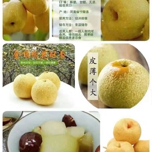 宁陵县金顶谢花酥梨，皮薄汁多，甜度高，润肺