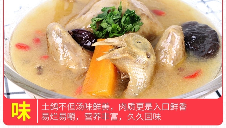 确山县白条鸽  自家散养鸽子 种鸽  老鸽  乳鸽
