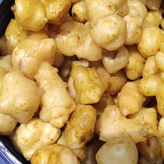 鸡泽县咸菜  腌制洋姜