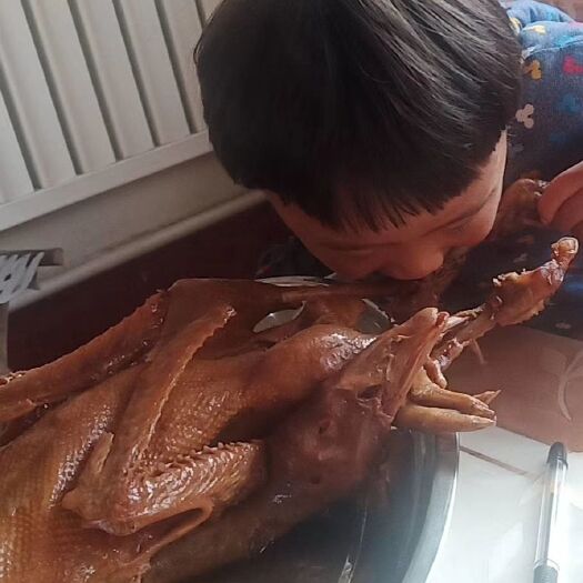 滨州鹅肉 卤鹅 盐焗鹅