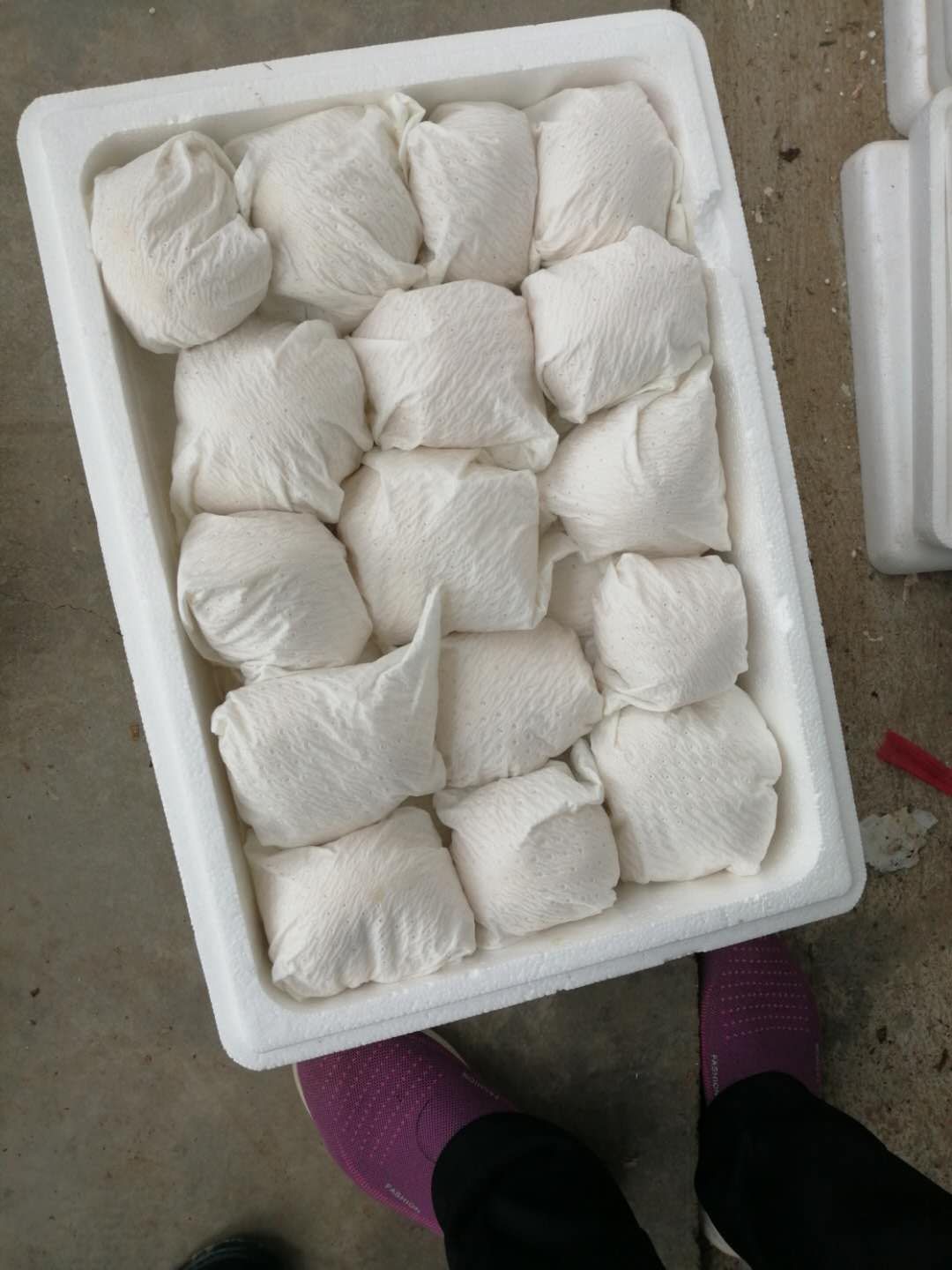 鲜猴头菇 猴哥来了，唐僧在哪里，带走他