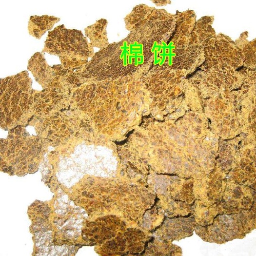 库尔勒市棉籽饼油渣，棉粕棉仁粉新棉花子药用棉籽蛋白棉籽