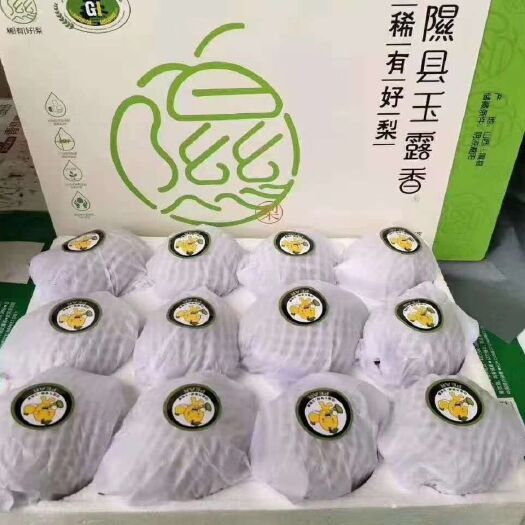 隰县香梨  隰(xi）县玉露梨