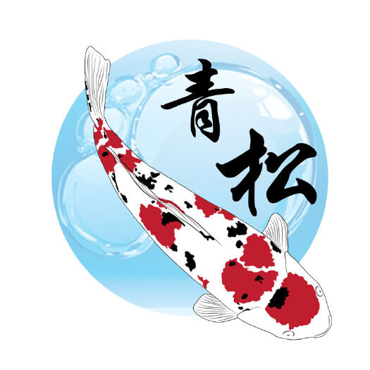 北京昭和锦鲤 1-1.5公斤 人工养殖 