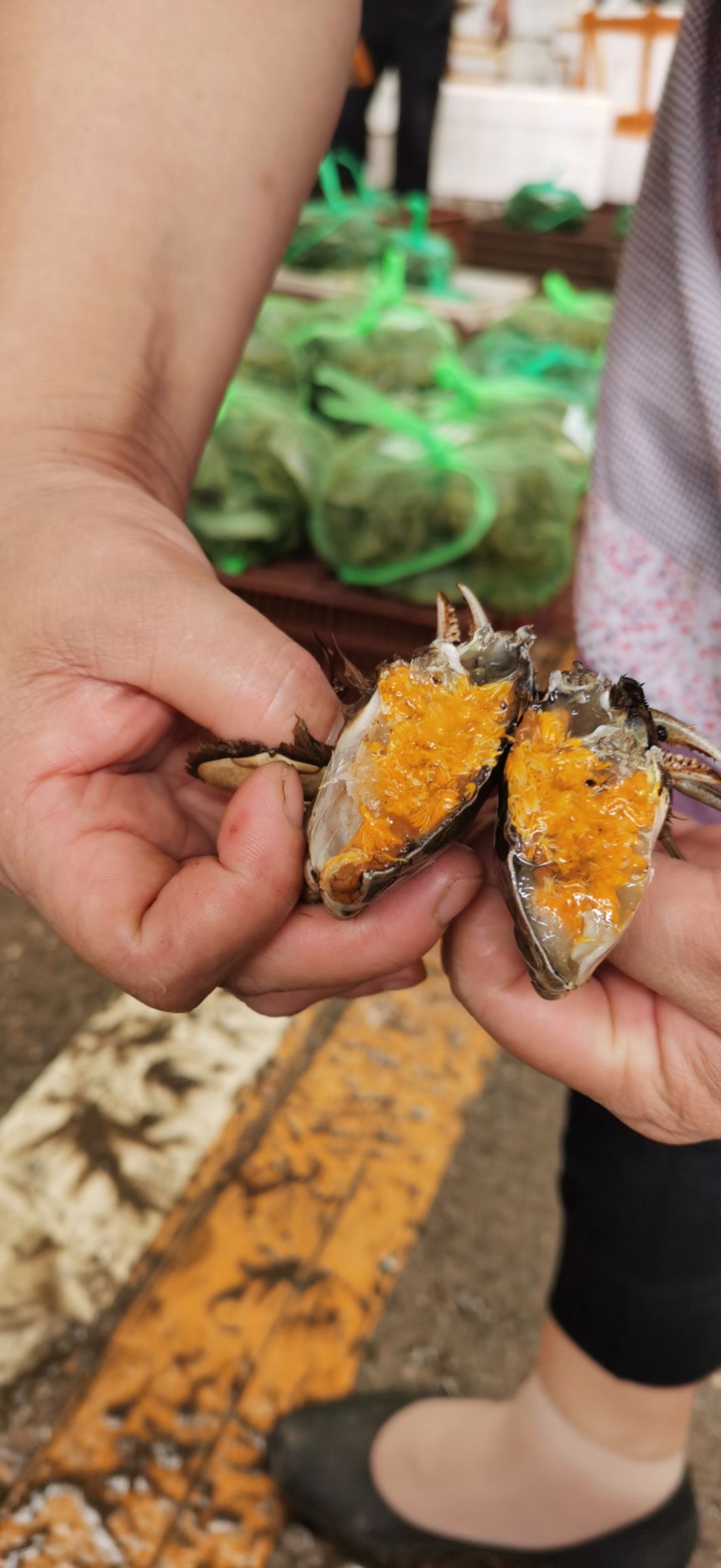 大闸蟹  优质母蟹公蟹 底价出售 有肉 有黄  不苦