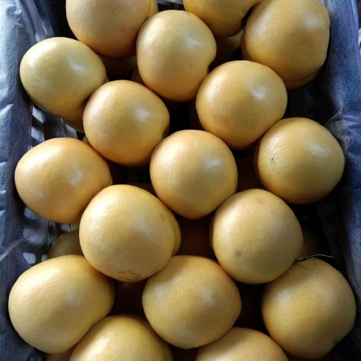 中油油桃 油桃