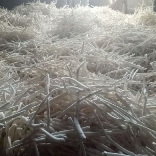 通心草 通草优质货源，出售干度90%有需要的下手