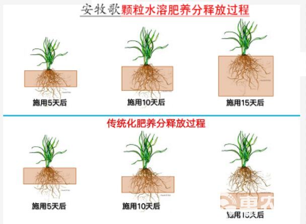 颗粒水溶肥 水溶肥厂家 海藻酸氨基酸双螯合 吸收利用率高