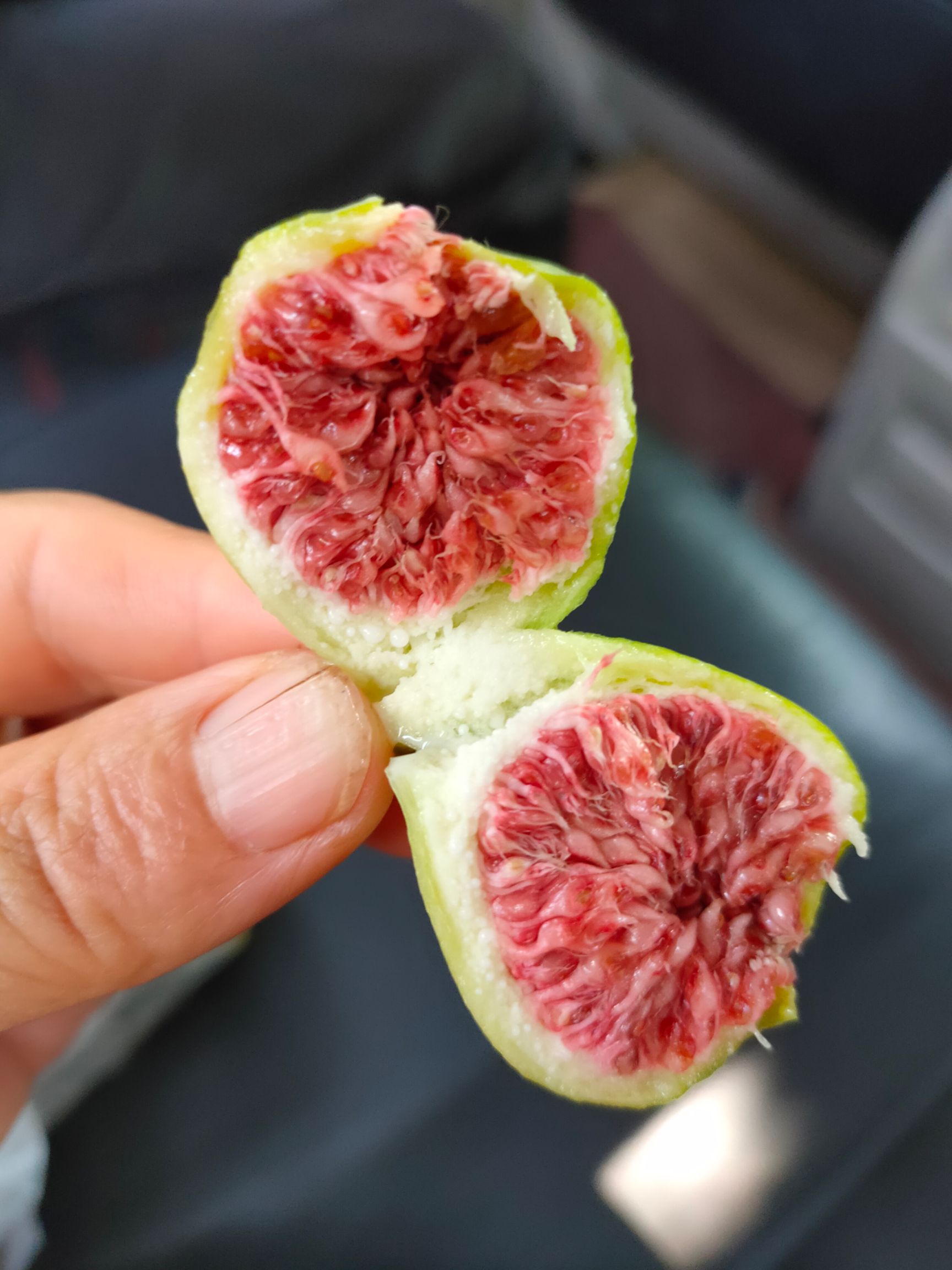 波姬红无花果 品种无花果苗