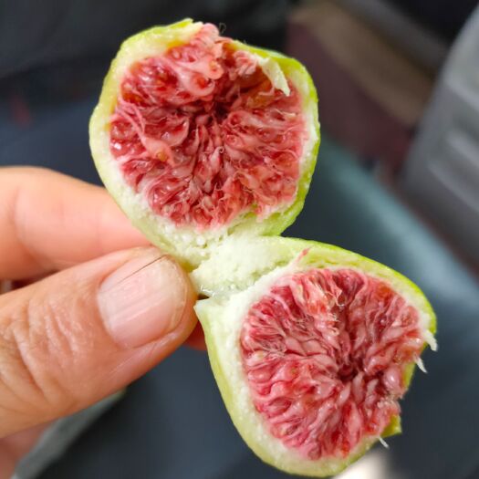 绛县波姬红无花果 品种无花果苗