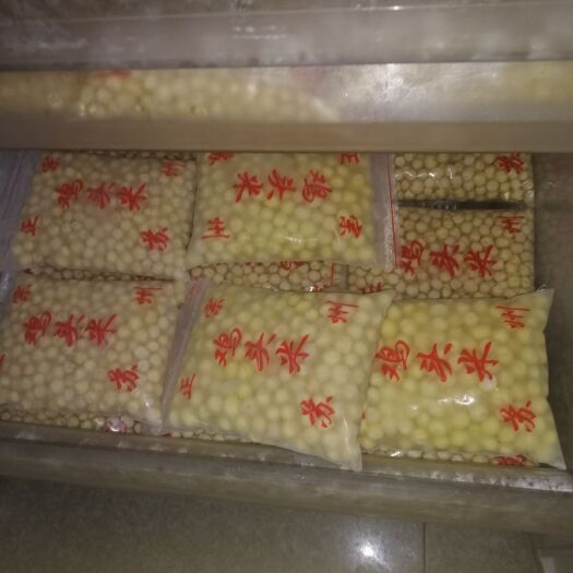 苏州 苏州鲜芡实纯人工剥制，保证质量，货源充足，包装大方全国邮