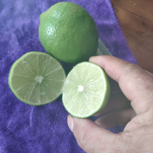 清远无籽柠檬 无籽青柠，产地直供，现摘现发，皮薄汁多，香味浓郁，