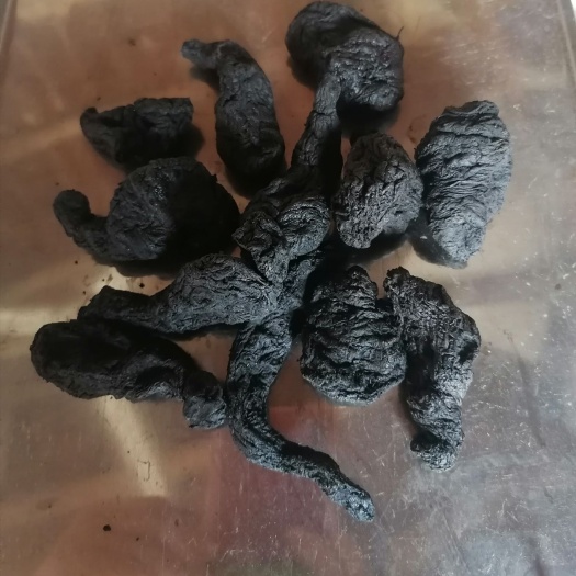 熟地个，中选【鲁赣药材站】