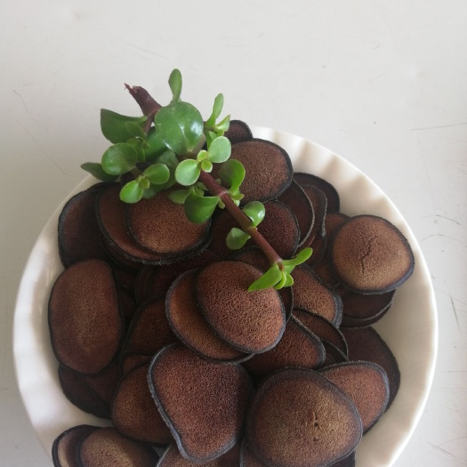 长春鹿茸片粉质好纯干鹿茸片