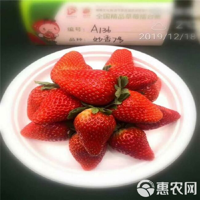 妙香7号草莓苗  
个大味甜草莓苗 脱毒草莓苗48小