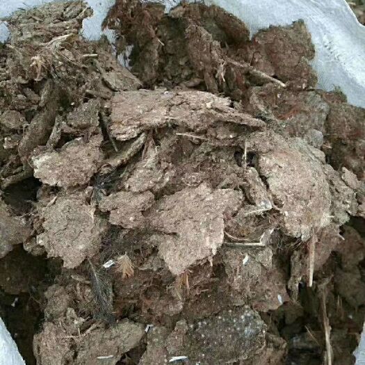 钦州有机肥料 纯鸡粪便 一手货源 鸡场直销