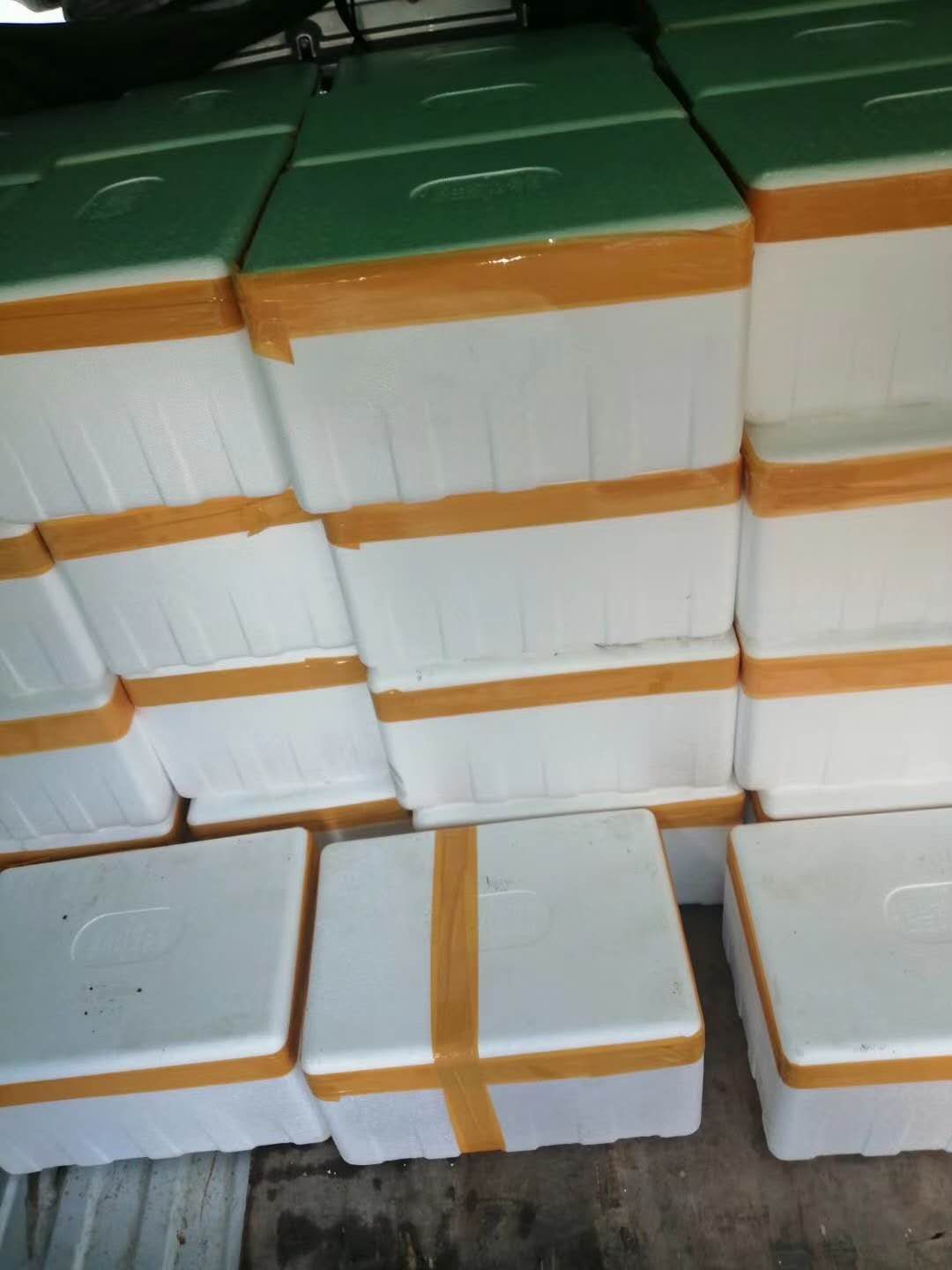 鲜猴头菇 猴哥来了，唐僧在哪里，带走他