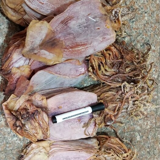 滕州市 优质鱿鱼干大OK5－7两