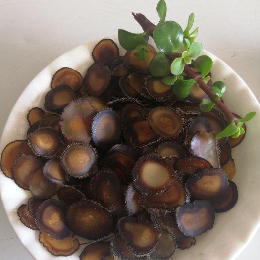 长春鹿茸片鹿茸腊片纯干