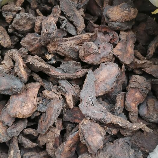 鄄城县地黄  生地，中选，量大从优
