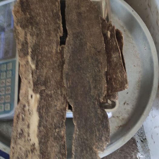 北流市海南沉香黑油皮油