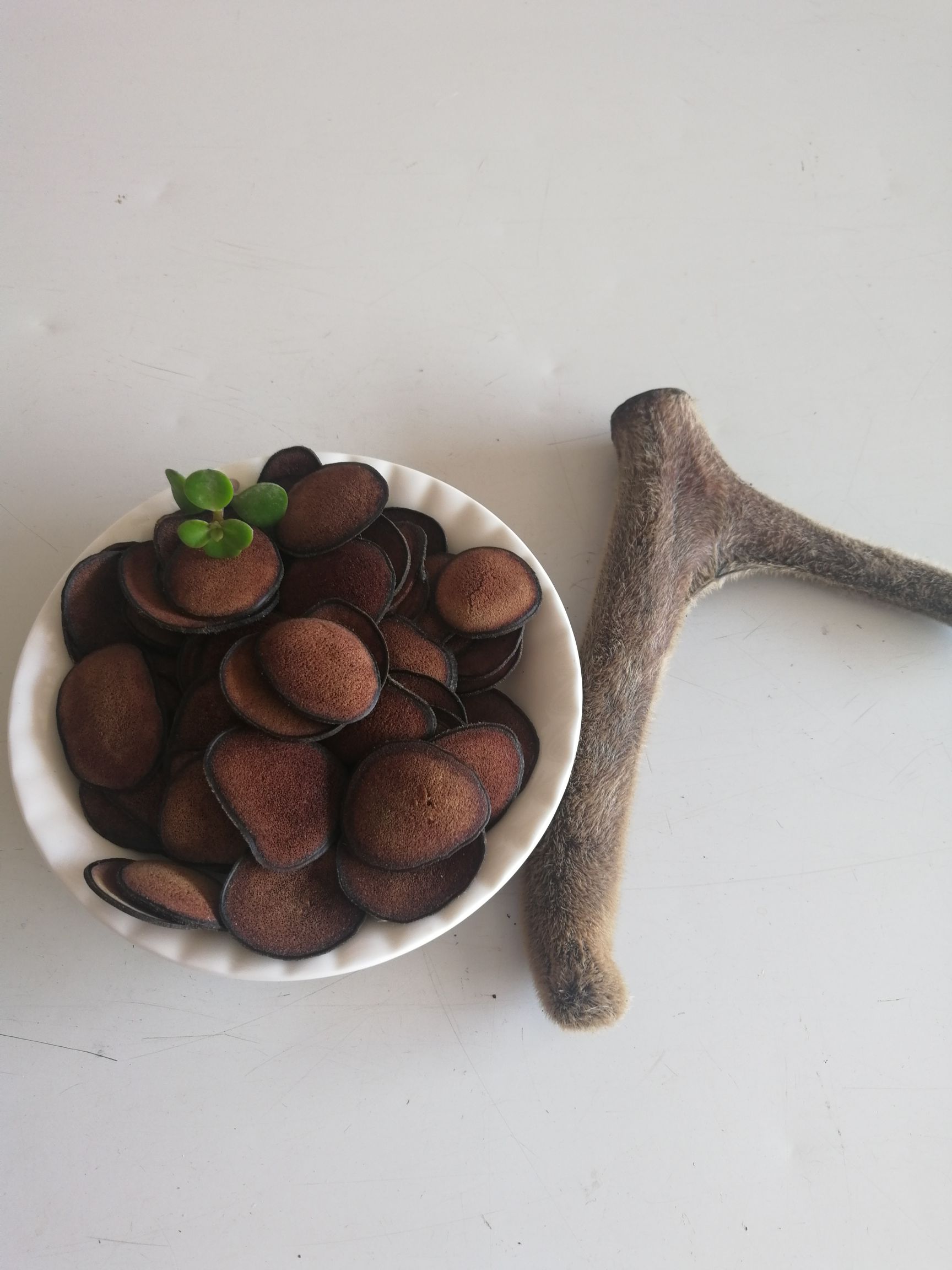 鹿茸片粉质好纯干鹿茸片