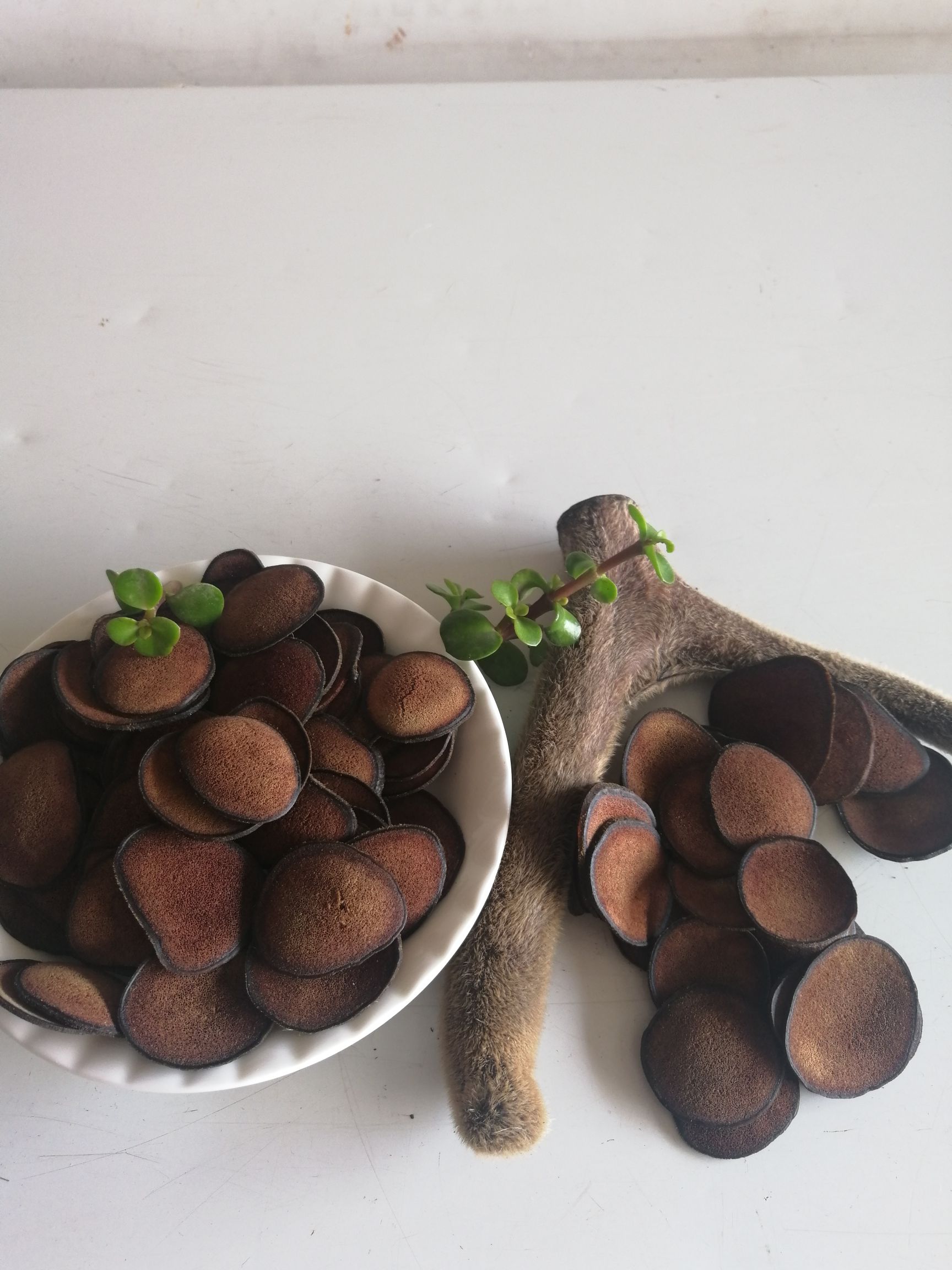 鹿茸片粉质好纯干鹿茸片