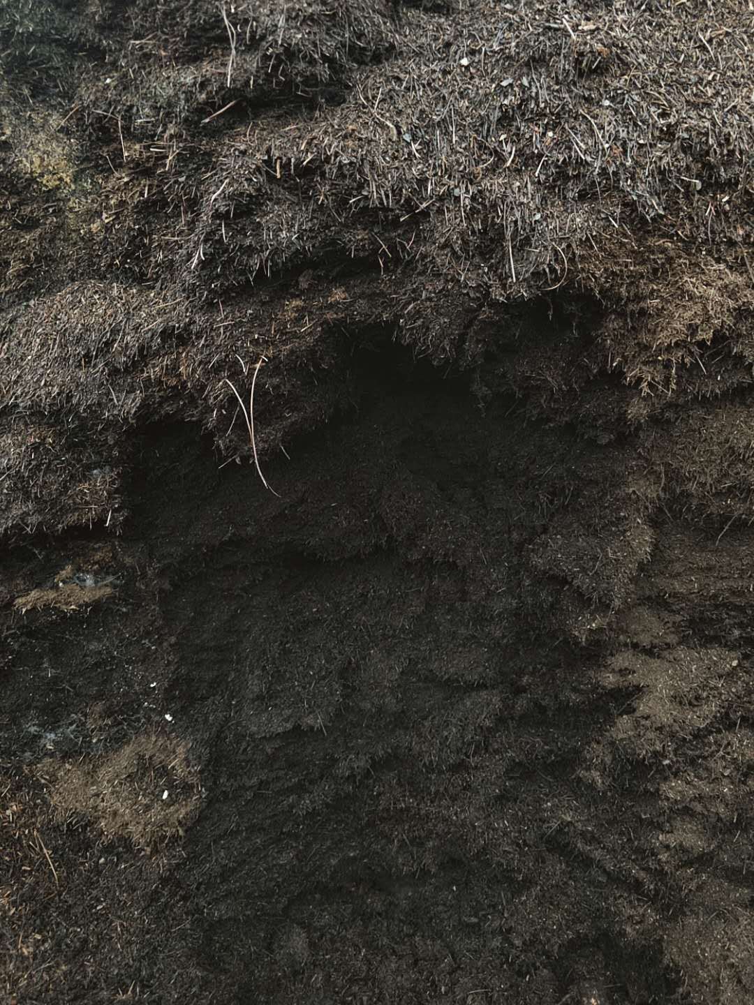 育苗基质  松针土