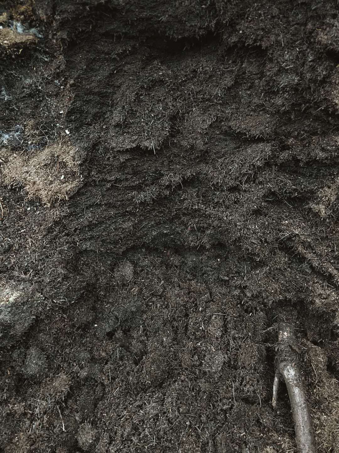 育苗基质  松针土