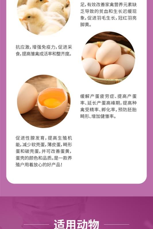 鸡鸭饲料添加剂维生素强力鱼肝油500g