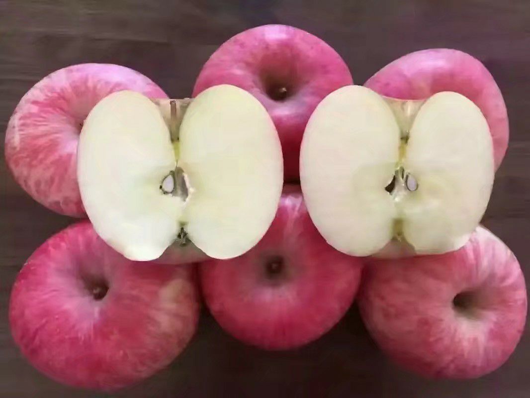 山东红富士苹果 烟台红富士苹果脆甜爽口一件代发