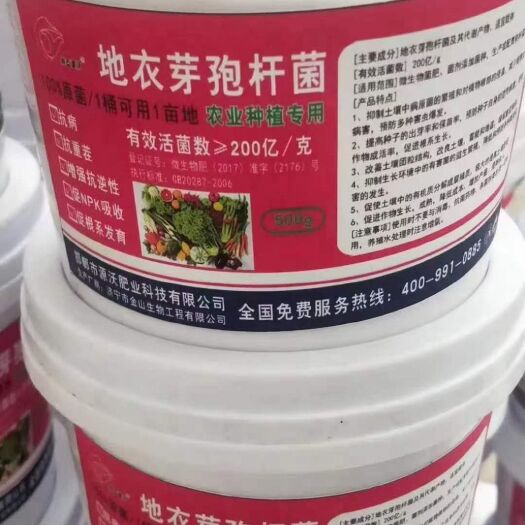 邯郸地衣芽孢杆菌