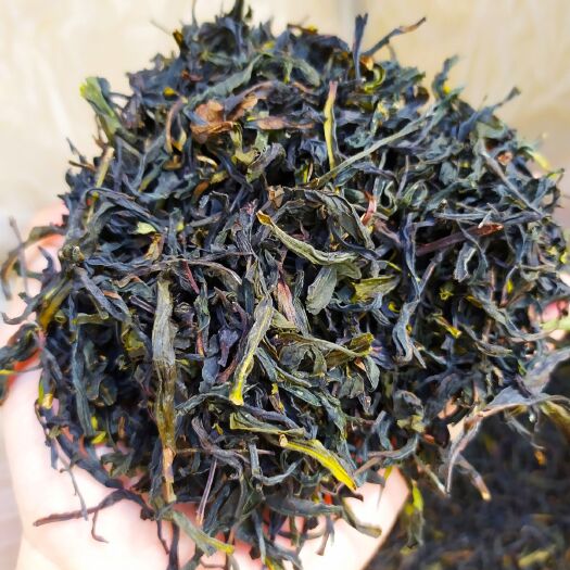 惠来县鸭屎香单枞茶1斤潮汕茶叶乌岽单枞茶乌龙茶单丛高山茶叶凤凰单