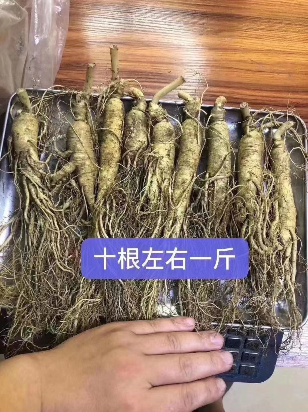 園參  長白山鮮人參，產地直銷，棵棵精品，特新鮮的人參，批發(fā)