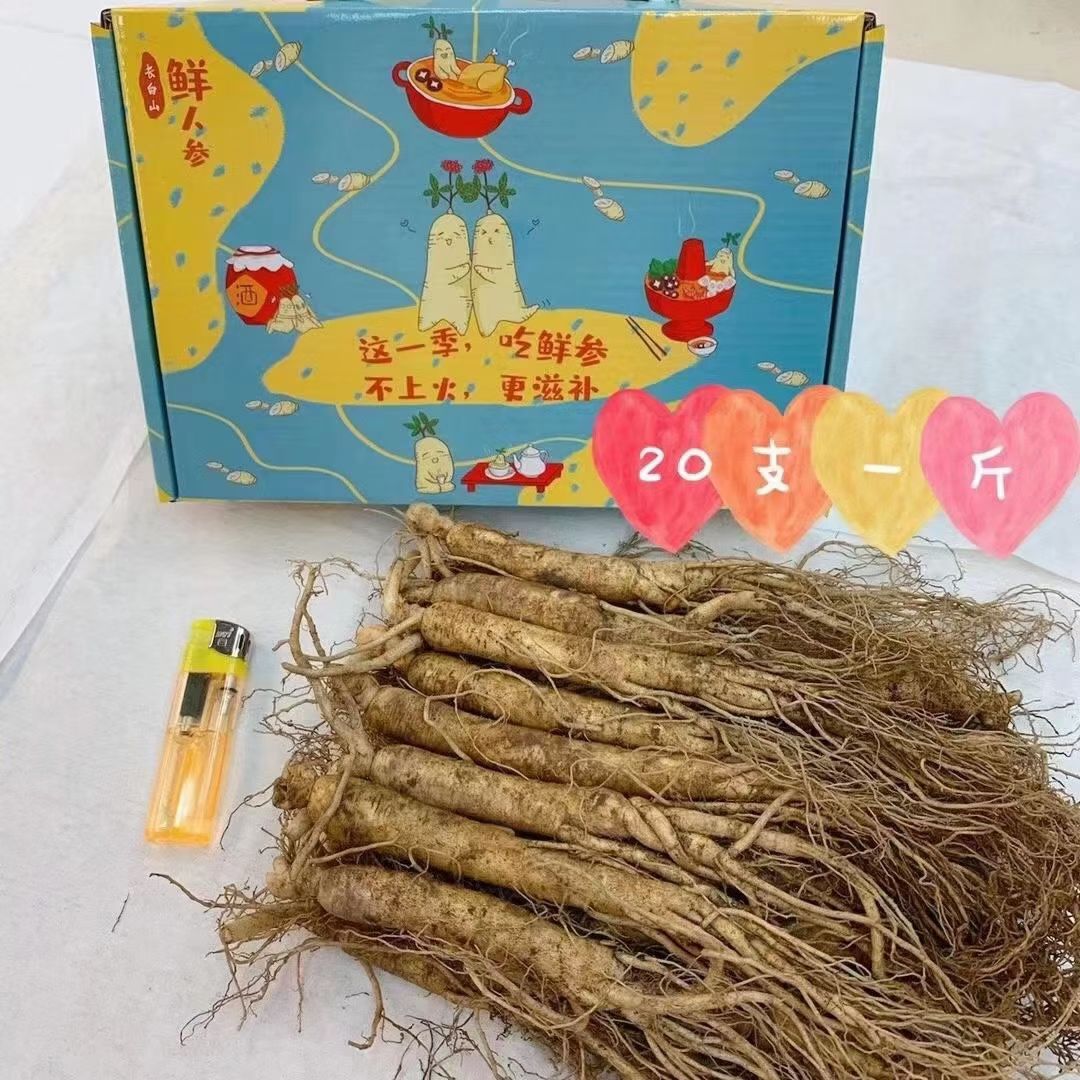 園參  長白山鮮人參，產地直銷，棵棵精品，特新鮮的人參，批發(fā)
