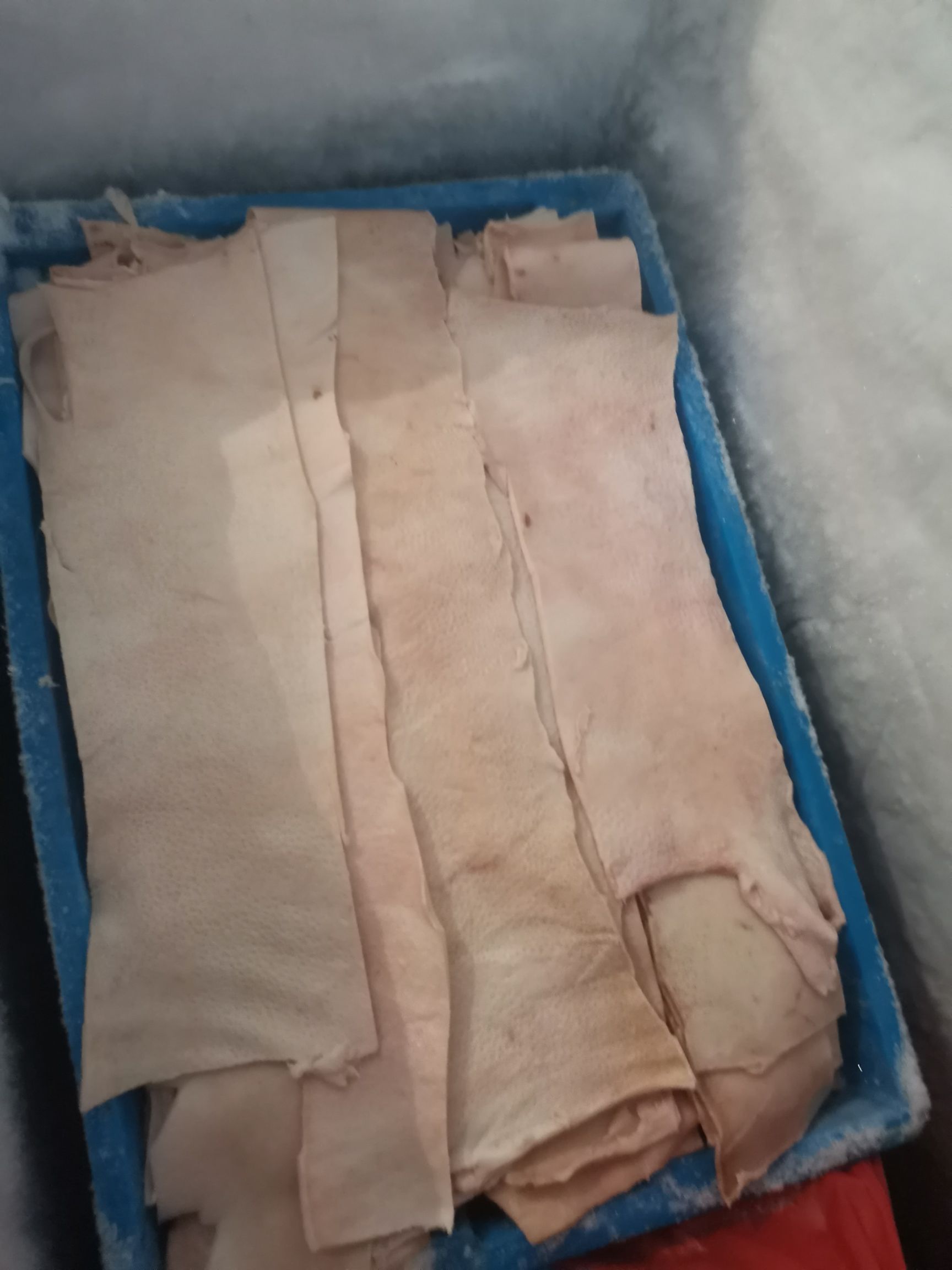 猪皮，新鲜大皮大排皮