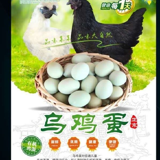 沭阳县乌鸡蛋 食用 箱装