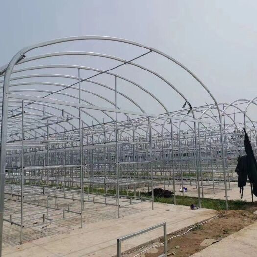 天津单体拱棚  大棚单体大棚