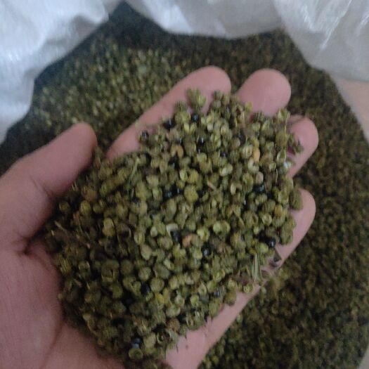 安顺云南大姚花椒  云南昭通农村自己家栽的天然青色花椒，麻度及高