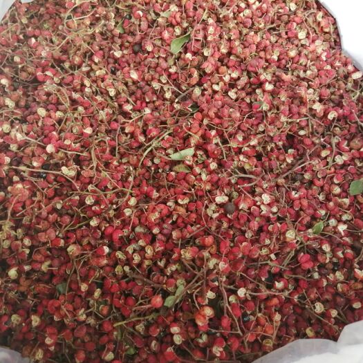 富平县红花椒 特级 干花椒 