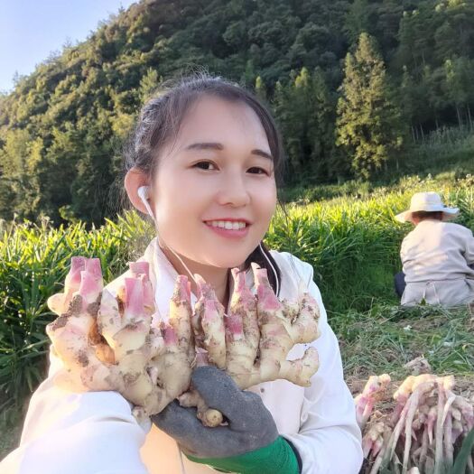 长顺县老姜  生态种植