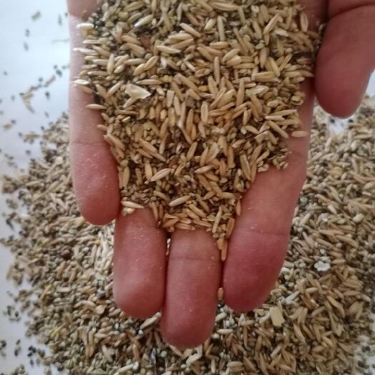 灵寿县禽畜用饲料 燕麦糠，适合畜牧家禽饲料添加，量大优惠，品质上乘！